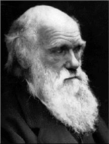 ecologia è lo studio di tutte quelle complesse interrelazioni a cui Darwin si riferisce quando parla