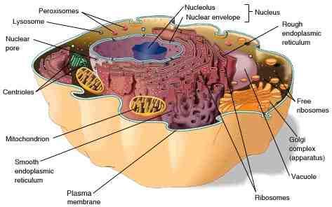 Signal Transduction What? When? Where?