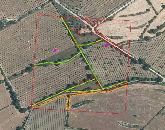 Progetto AGRIT Agro Ambiente Il progetto Agrit Agro Ambiente (2010 2011) è stato quindi la prima integrazione delle banche dati presenti nel SIAN, corredata da informazioni rilevate in campo