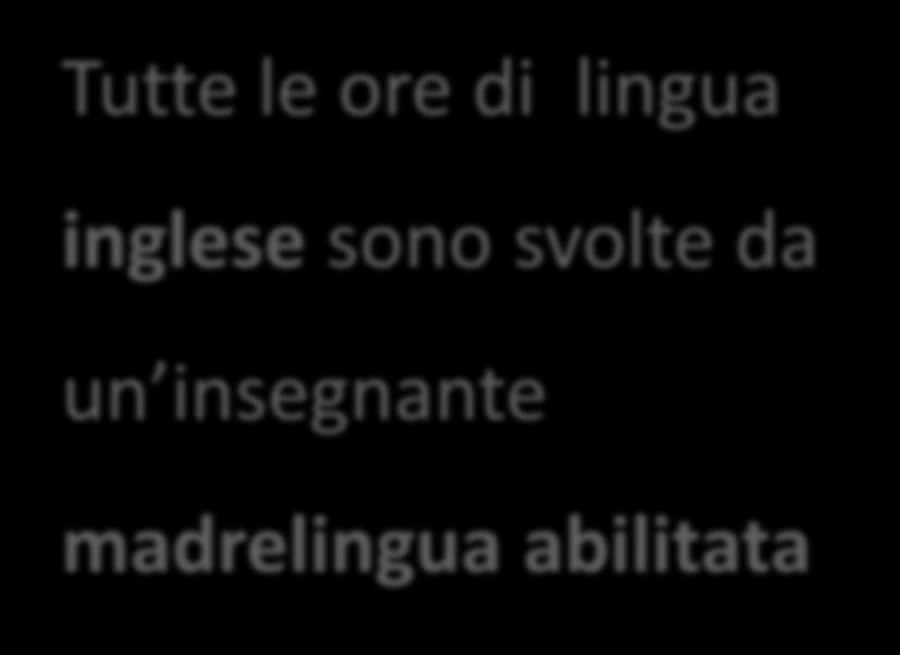 all insegnamento Gli insegnamenti delle discipline