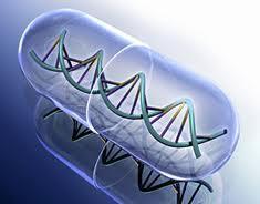 pratica - una piccola molecola e il DNA: si legano? lo cambia?