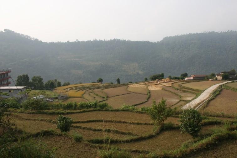 6 giorno Tikhedhunga-Ghorepani 5/6 ore salita 1360 mt: Una leggera discesa ci porta ad attraversare il Bhurungdi Kola (fiume), da qui una lunga scalinata, si dice abbia più di 3300 gradini, ci