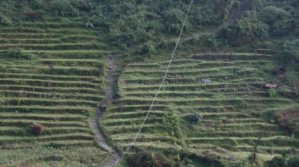 30, e la successiva camminata di circa 45/60 minuti ci porterà fino al punto panoramico di Poon Hill a 3210 mt. Le vedute sul Manaslu, sull Annapurna e sul Dhaulagiri sono spettacolari.