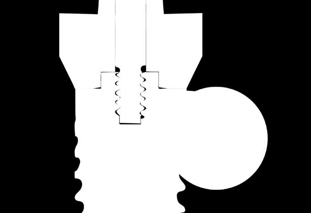 Alla comprovata biocompatibilità di questo materiale si sommano valori di tensione e di elasticità meccanica tali da garantire ad ogni impianto un elevata resistenza ai carichi occlusali.