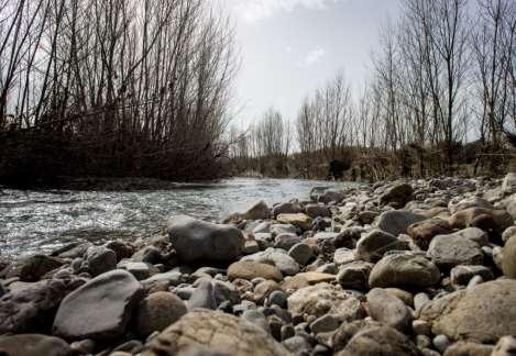 RIQUALIFICAZIONE FLUVIALE Localizzazione: Comune di Suvereto - loc.