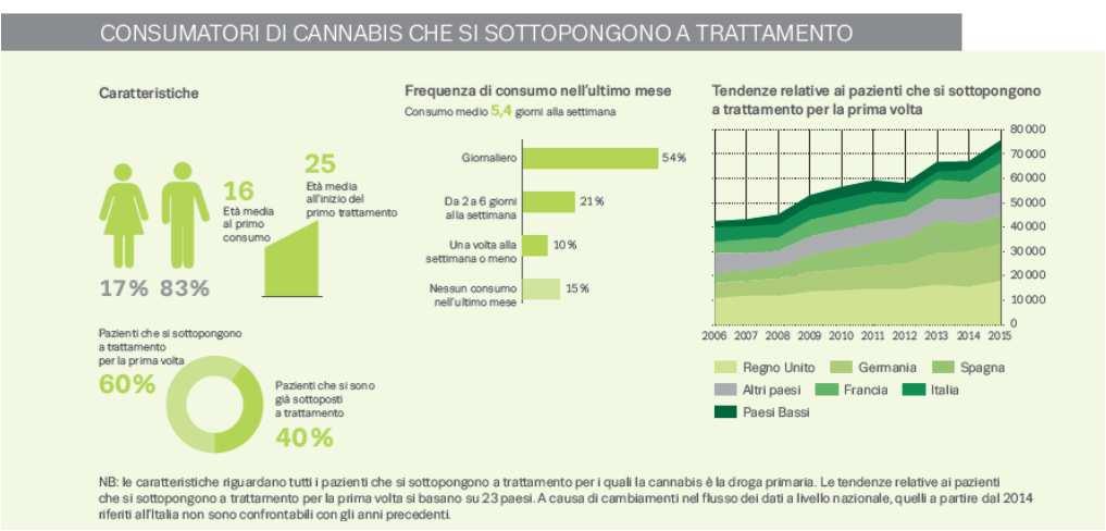 In base alle indagini sulla popolazione generale, si stima che i consumatori quotidiani o quasi quotidiani di cannabis siano l 1% circa degli adulti europei, nel senso che hanno fatto uso di questa