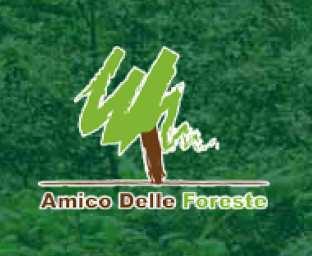 2011: Amico di Boschi e Foreste Deforestazione e cambiamenti climatici 11-15 milioni di ettari di foreste naturali vanno perduti ogni anno tra Come dire che ogni tre secondi scompare l equivalente di