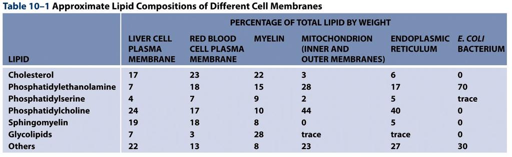 Table 10-1 Molecular Biology of