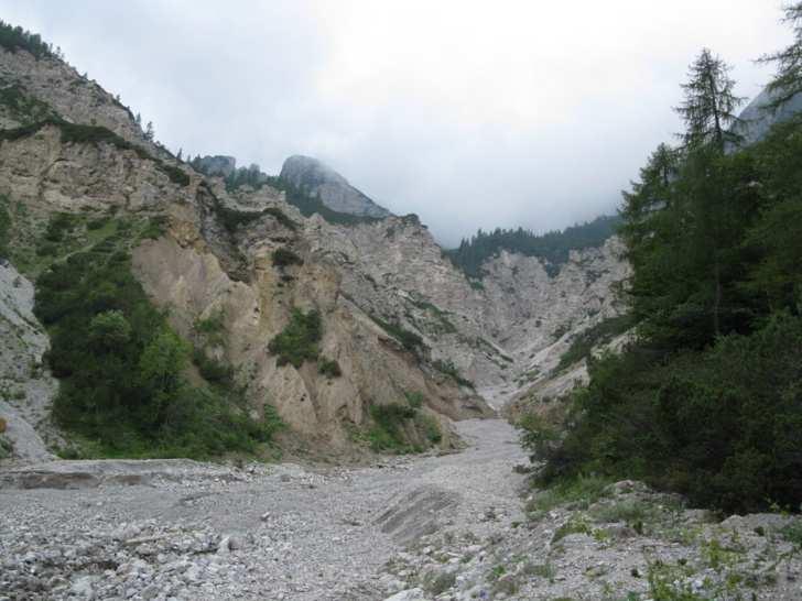 Il TAGLIAMENTO non ci sono grandi dighe ad ostacolare il decorso del fiume, quindi esso ha mantenuto la caratteristica sequenza dei fiumi alpini: tratti confinati, tratti a canali
