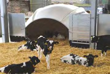 Milkline offre una soluzione efficiente per alloggiare i tuoi vitelli e proteggerli da condizioni climatiche avverse, fornendo loro il giusto grado di calore, riparo, aria fresca e