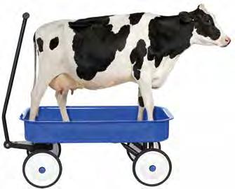MUNGITURA Trasporto latte UN TRASPORTO DEL LATTE ADEGUATO E IN CONDIZIONI DI TOTALE IGIENE È ESSENZIALE PER LA PRODUZIONE DI LATTE DI ALTA QUALITÀ I componenti e gli accessori Milkline per il