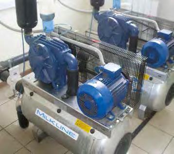MUNGITURA LOBE CLEANER LOBE CLEANER è il sistema automatico di lavaggio per le pompe a lobi specificamente sviluppato da