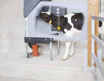 ALIMENTAZIONE MILDRINK Vitelli sani significano vacche sane: Mildrink di Milkline per una gestione ottimizzata dei vitelli Le allattatrici automatiche per vitelli hanno la specifica funzione di