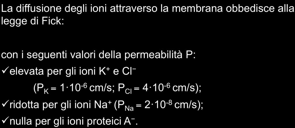 La diffusione degli ioni attraverso la membrana obbedisce alla legge di Fick: con i seguenti valori della permeabilità P: ü elevata per gli ioni K + e Cl (P K = 1 10-6 cm/s; P Cl = 4 10-6 cm/s); ü