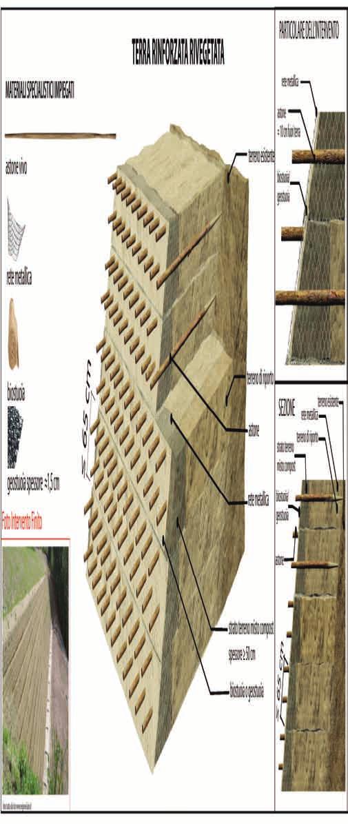 UTILIZZO UTILIZZO DEL DEL COMPOST COMPOST VENETO VENETO PER PER LE LE TECNICHE TECNICHE DI DI RIPRISTINO RIPRISTINO AMBIENTALE AMBIENTALE TERRA RINFORZATA RIVEGETATA SETTORI DI INTERVENTO I RA V AU