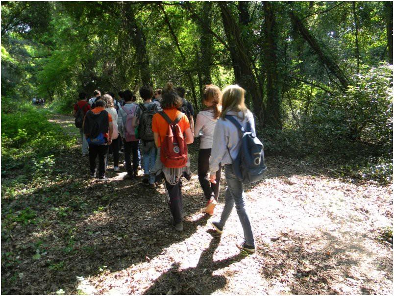 5. OASI WWF BOSCO DELLA CORNACCHIAIA L'Oasi si trova all'interno di un Sito d'importanza Comunitaria (SIC) nel Comune di Pisa.