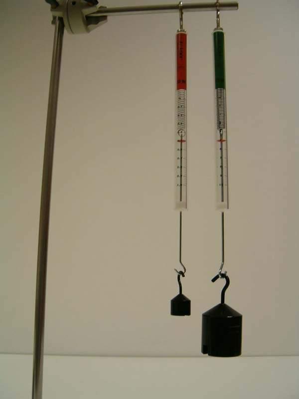 Lo strumento per misurare le forze è il dinamometro È costituito da una molla che scorre all interno di un tubicino sul