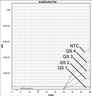 NTC: nontemplate control (controllo negativo). Fig.