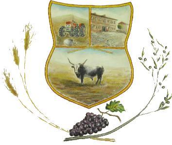 ORIGINALE UNIVERSITÀ AGRARIA DI MONTE ROMANO PROVINCIA DI VITERBO VERBALI DI DELIBERAZIONE DELLA DEPUTAZIONE AGRARIA N. 31 del Reg.