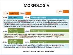 FLOW CHART I CASO 1 2 3 4