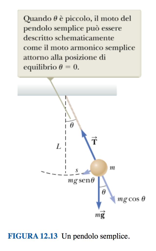 OSCILLATORE ARMONICO SEMPLICE un altro esempio: pendolo semplice misuriamo θ >0 quando il pendolo si trova a destra della verticale; la coordinata della massa è s (arco di curva); s >0 quando θ >0 L