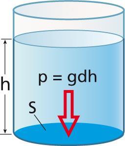La pressione della forza peso nei liquidi Ogni liquido è soggetto alla forza-peso, che determina una pressione data dalla