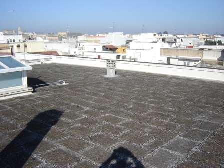 terrazzi in «pietra