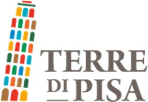 CRONOLOGIA TRIENNIO 2016-2017 2017-2018 2018 La Camera di Commercio di Pisa, su istanza di un gruppo di operatori locali, ha avviato nel 2016 un progetto di marketing del territorio pisano che