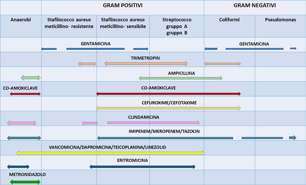 Spettro d azione degli antibiotici per il trattamento della sepsi in