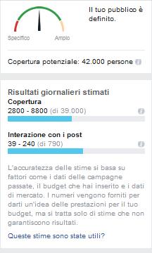 Definizione del pubblico/budget 3.