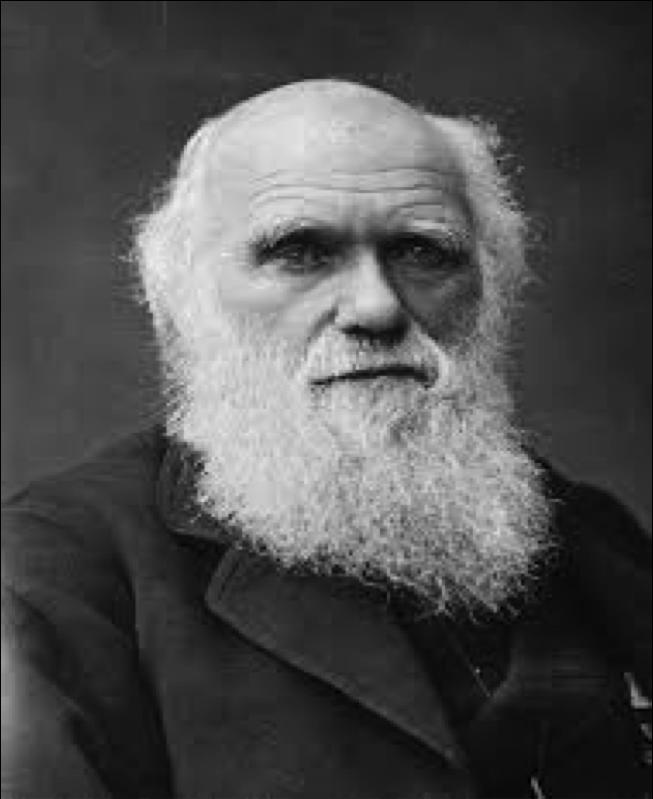 Darwin Charles Darwin (1809-1882), naturalista inglese, fu il primo a studiare l origine dell uomo.