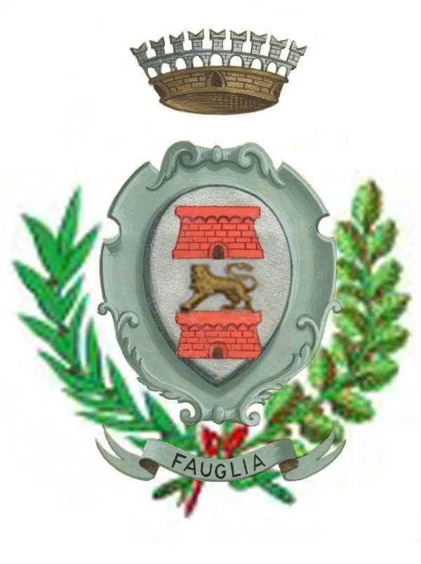 Comune di Fauglia Provincia di Pisa ============= REGOLAMENTO PER L ISTITUZIONE DELL ADDIZIONALE COMUNALE ALL