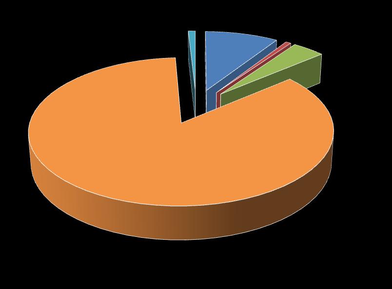 La figura 4 mostra la consistenza dei depositi per classi di clientela 4. Figura 4. Depositi per classi di clientela in provincia di Sondrio.