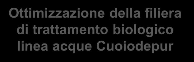 Le attività di ricerca svolte con il contributo dei tirocini Ottimizzazione della filiera di trattamento biologico linea acque Cuoiodepur