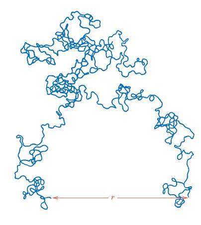 Una singola catena molecolare può assumere forma complessa con numerosi piegamenti, avvolgimenti e cappi e aggrovigliarsi con le
