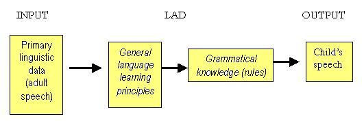 LAD - Language Acquisition Device (Chomsky, 1975) 19 La facoltà del linguaggio è innata Il bambino che impara una lingua scopre delle regole tramite la