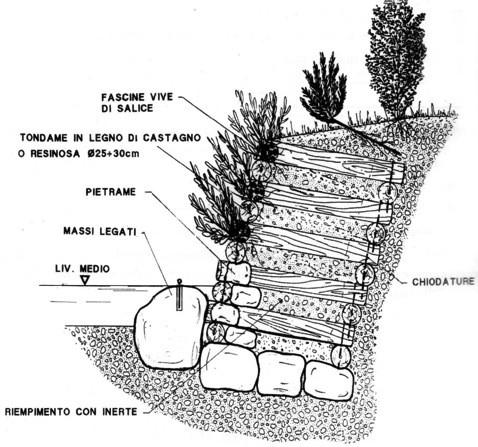 ESEMPI DI TECNICHE D INGEGNERIA NATURALISTICA CHE COMBINANO PROTEZIONE SPONDALE E