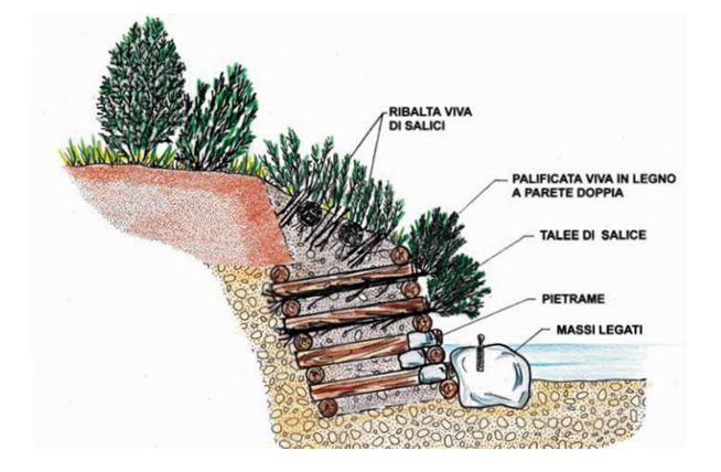 L INGEGNERIA NATURALISTICA Il Molise è una delle regioni d Italia più interessate dal dissesto idrogeologico, sia in termini di franamenti dei versanti, sia come erosione torrentizia.