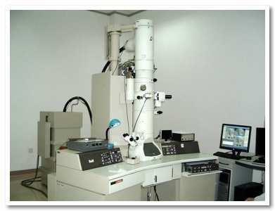 Microscopia Elettronica Utilizza un fascio di elettroni al posto della luce Si può raggiungere 1 0001 000 000 x (0,1nm) La