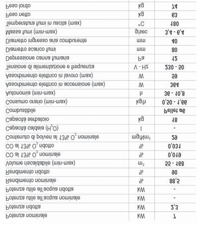 Antracite cf/pz 1 Fiamma a vista Focolare in ghisa