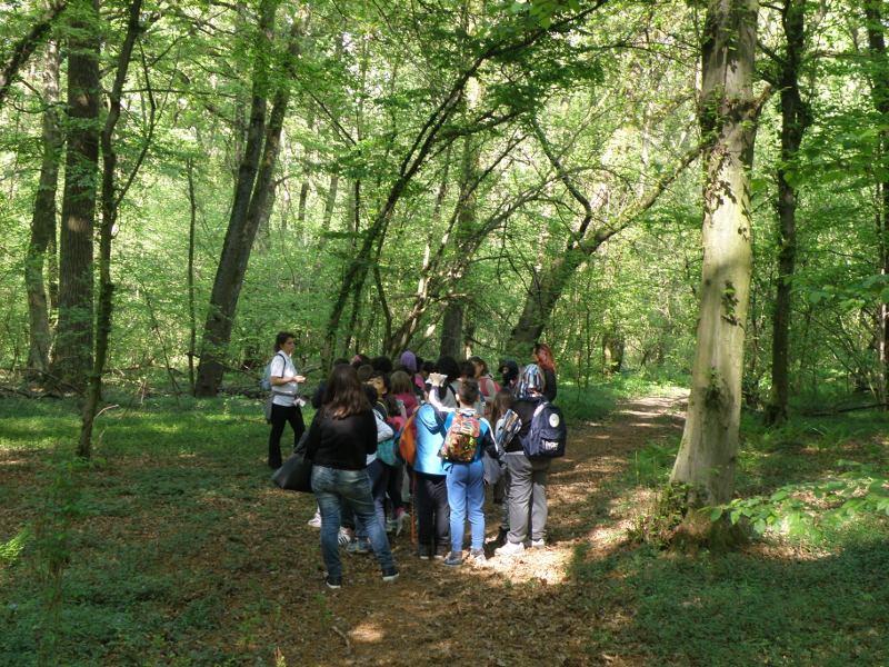 2. PROGETTO BOSCO Terze Scuola Primaria Il Parco dei Mughetti rappresenta a livello locale uno scrigno di biodiversità, dove piante ed animali trovano un habitat idoneo per la sopravvivenza.