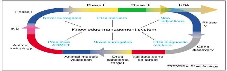 Bioinformatica Integrazione di conoscenze, competenze