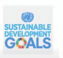 Area Social Green Impact Bilancio di Sostenibilità con