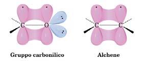 unità didattica) Capitolo 13 di Brown e Poon Il doppio legame C=O è più forte del doppio legame C=C A differenza degli alcheni, il legame C=O è fortemente polare I