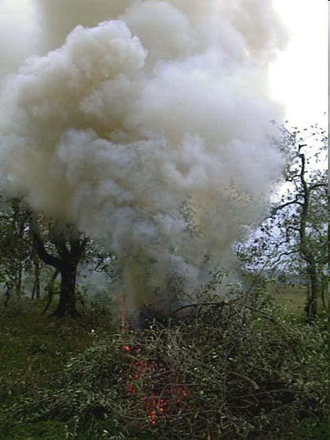 Settore Rifiuti INEMAR Puglia & C.E.T.