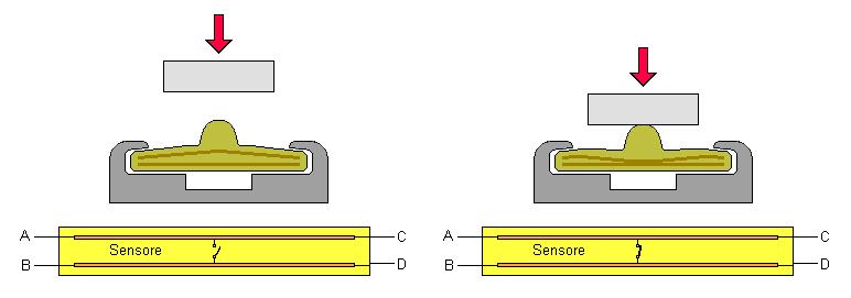 Principio di funzionamento Il sensore di sicurezza Proswitch tipo S-33 è stato progettato in conformità alla normativa EN 13856-2,