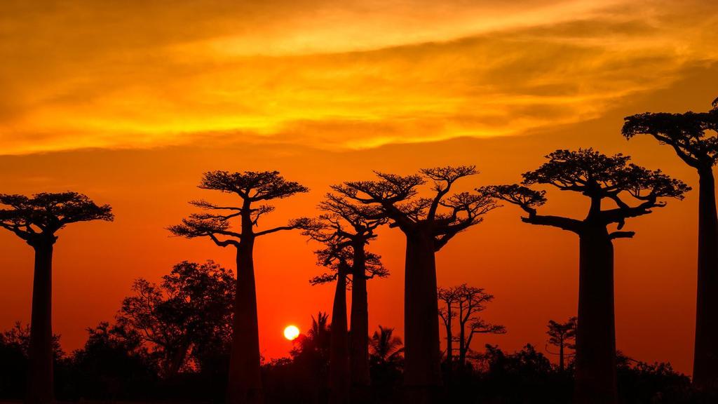 ViaggiEmiraggi MADAGASCAR, tour tra l Altopiano centrale e la costa di Manakara Viaggiare è camminare verso l