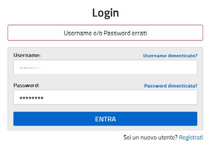 Per l accesso sono richieste la Username e la Password ricevute in fase di registrazione e l utente deve risultare abilitato al Servizio Istanze Online.