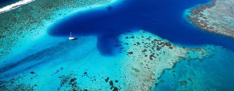Pacchetto escursioni opzionale: Barbeque su motu privato a Bora Bora; guida snorkeling e laboratorio lavorazione presso una coltivazione di perle;