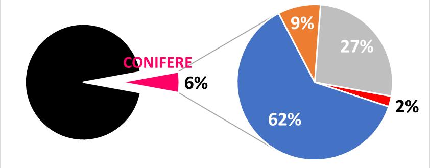 Boschi di conifere: Marche vs. E. Romagna Marche 16.